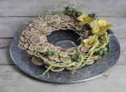 bloemen en planten vvbvanbree     1124